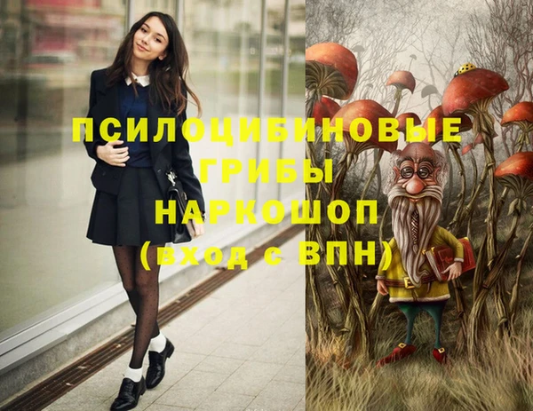 не бодяженный Коряжма
