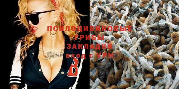 не бодяженный Коряжма