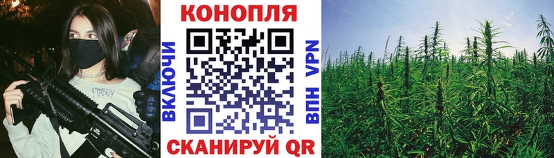 Бошки Шишки сатива Кировград